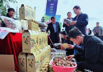 線上線下銷售火爆，食品消費新趨勢解讀