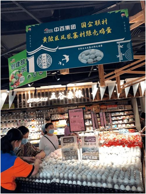 改革攻堅在行動 中百集團國企聯村工作紀實，助力鄉村振興
