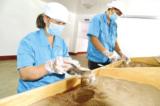 堅定信心迎難而上，以食品銷售為支點決戰(zhàn)決勝脫貧攻堅