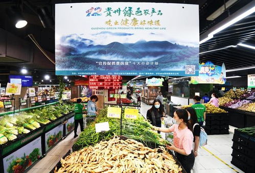 貴陽農村電商 為鄉村振興插上“金翅膀”，暢通農副產品銷售新渠道