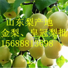 山東莒縣農(nóng)副產(chǎn)品購(gòu)銷(xiāo)處 深耕綠色源頭，傳遞健康滋味