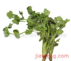 萊蕪市萊城區(qū)潤(rùn)宇農(nóng)副產(chǎn)品購(gòu)銷(xiāo)站加盟連鎖 開(kāi)啟財(cái)富與健康新篇章