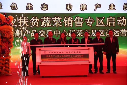雙龍農(nóng)副產(chǎn)品交易中心蔬菜交易區(qū)試運營，助力黔貨出山新篇章